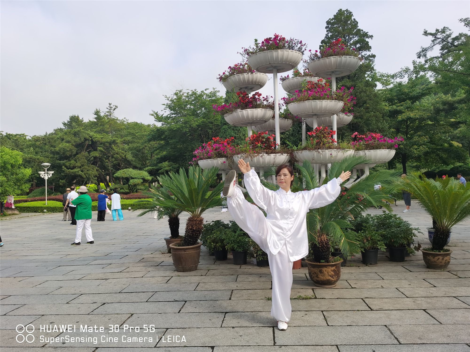 葛洪霞+太极拳、太极剑.jpg